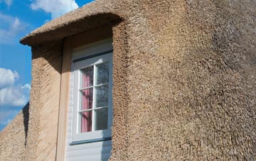 Yieldshields thatch roof disadvantages