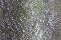 Yieldshields fibreglass roof work